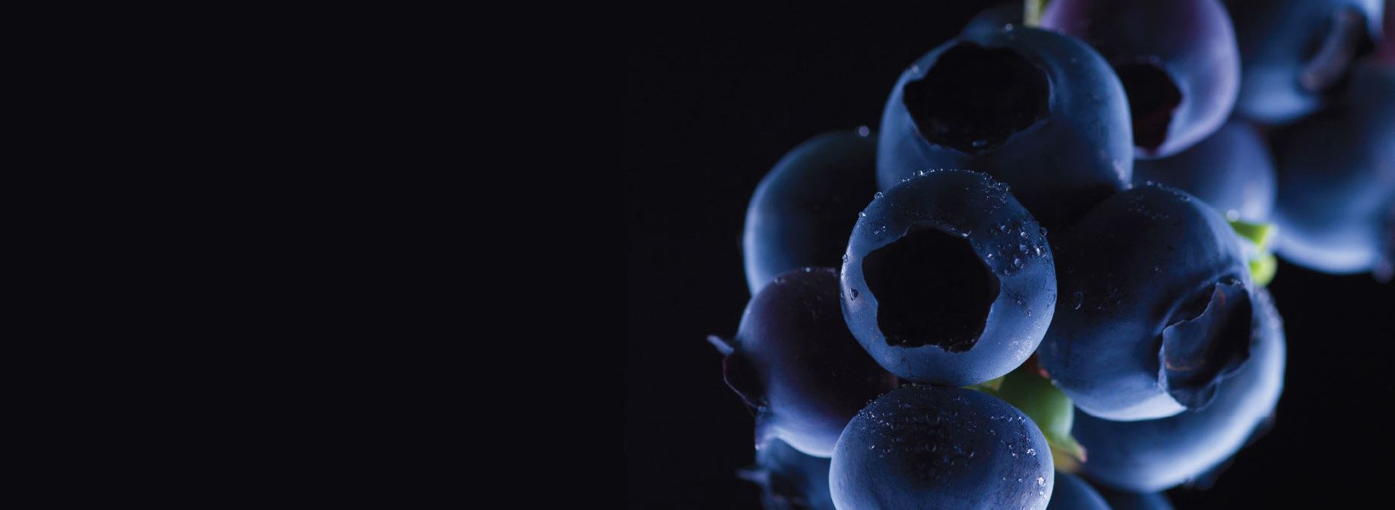 TOMRA Fruit Science
