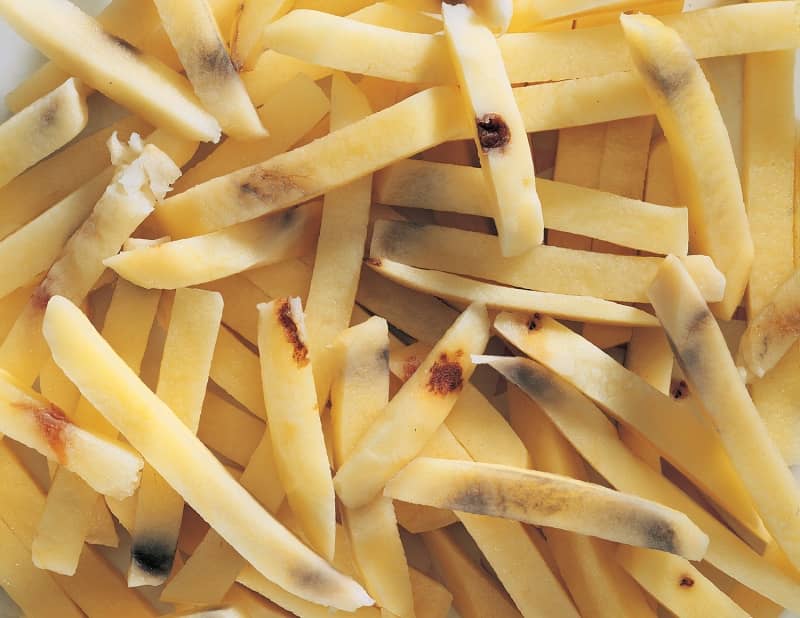TOMRA 5B French Fries sorting