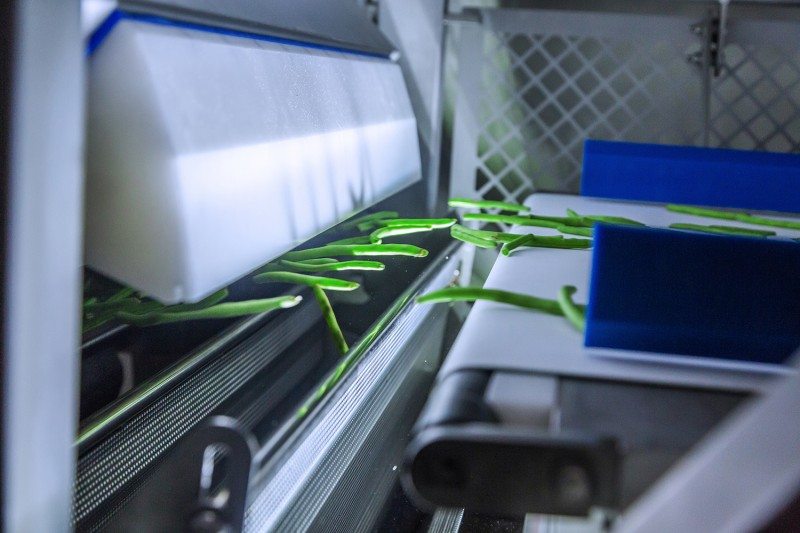TOMRA 5B green beans sorting machine
