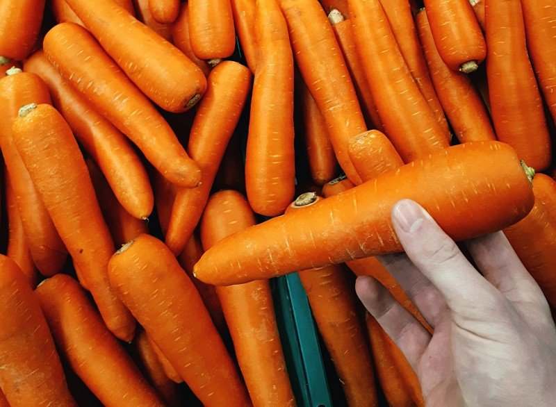 TOMRA Food carrots sorting