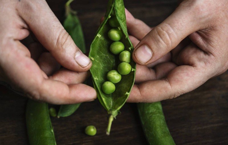 TOMRA Food peas sorting