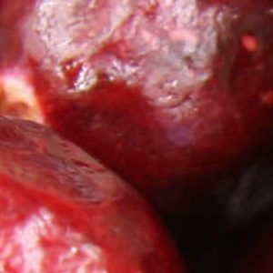 蔓越莓