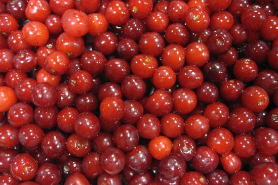cherries-2
