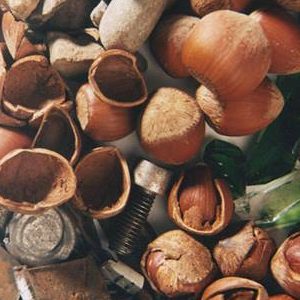 剔除果壳、玻璃、金属和石子等各种异物，以及发黑、腐烂、带皮、过烤的产品