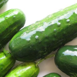 蔬菜腌菜、醋渍小黄瓜分选