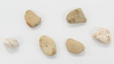 杏仁分選條件或標準：石頭