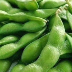 毛豆分选