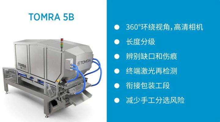陶朗TOMRA 5B 分选机