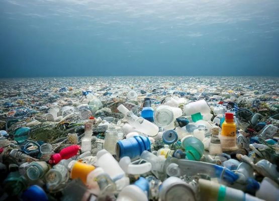 塑料垃圾污染