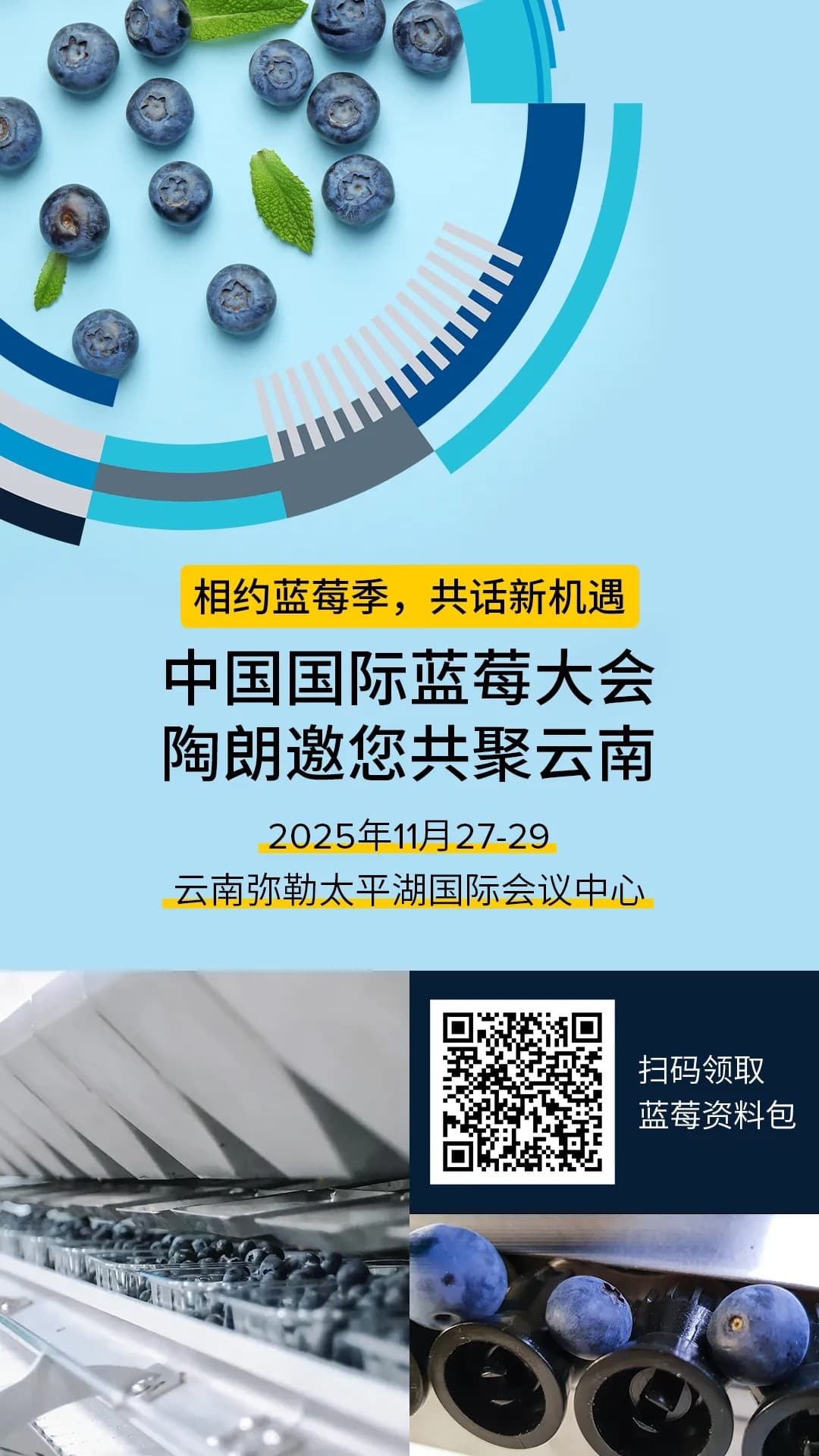 把脉蓝莓产业新风向:云南蓝莓采收季暨中国国际蓝莓大会启幕