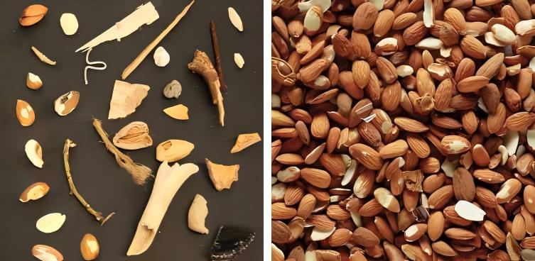 物理异物如石块、金属、玻璃碎片是食品安全的基本红线，必须100%剔除。