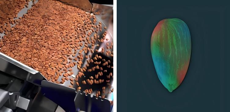 发现和剔除含有黄曲霉毒素的产品