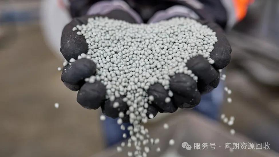 分选出的透明与彩色PET片材,被内部用于生产再生颗粒